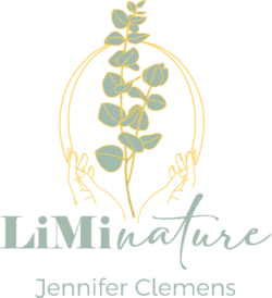 Zurück zur Startseite